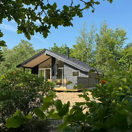 Newly Built House By Forests In Djursland
