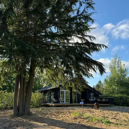 Newly Built House By Forests In Djursland *